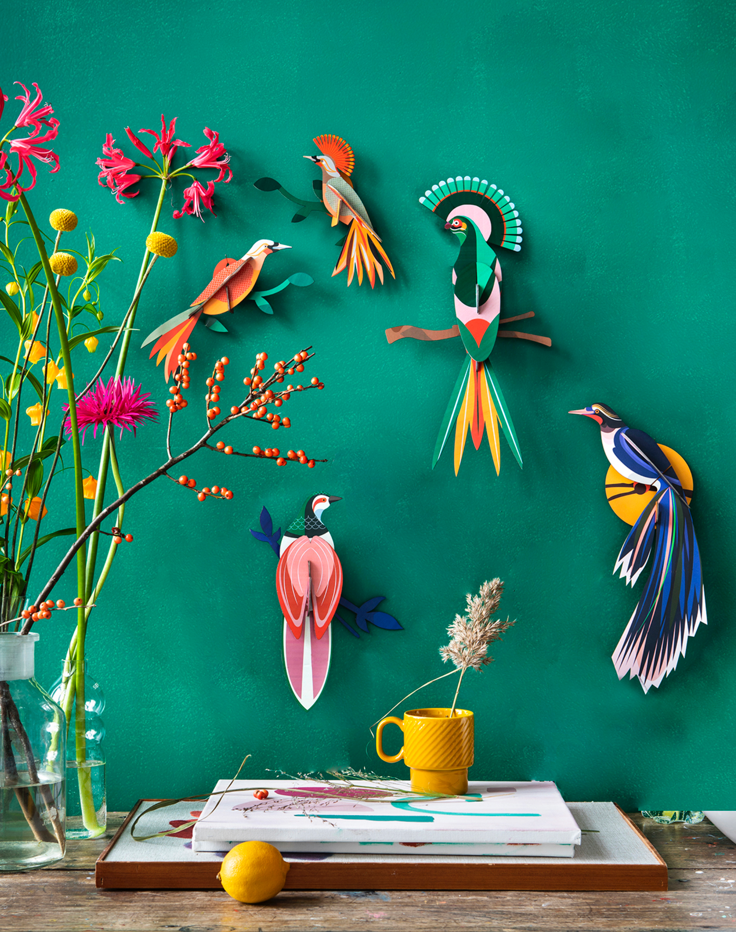 Set 2 Aves Tropicales