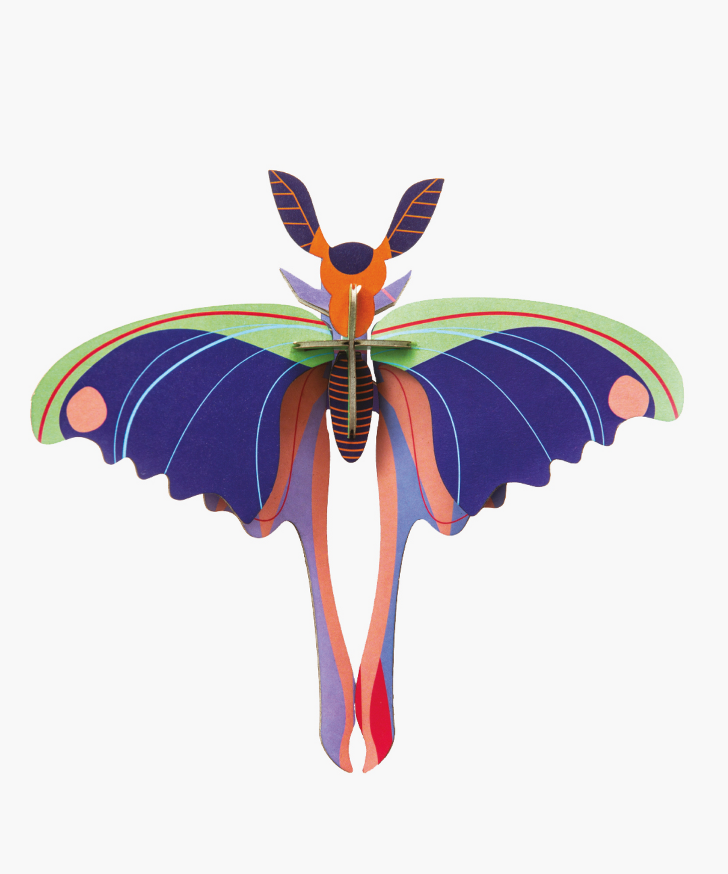 Mariposa Alargada