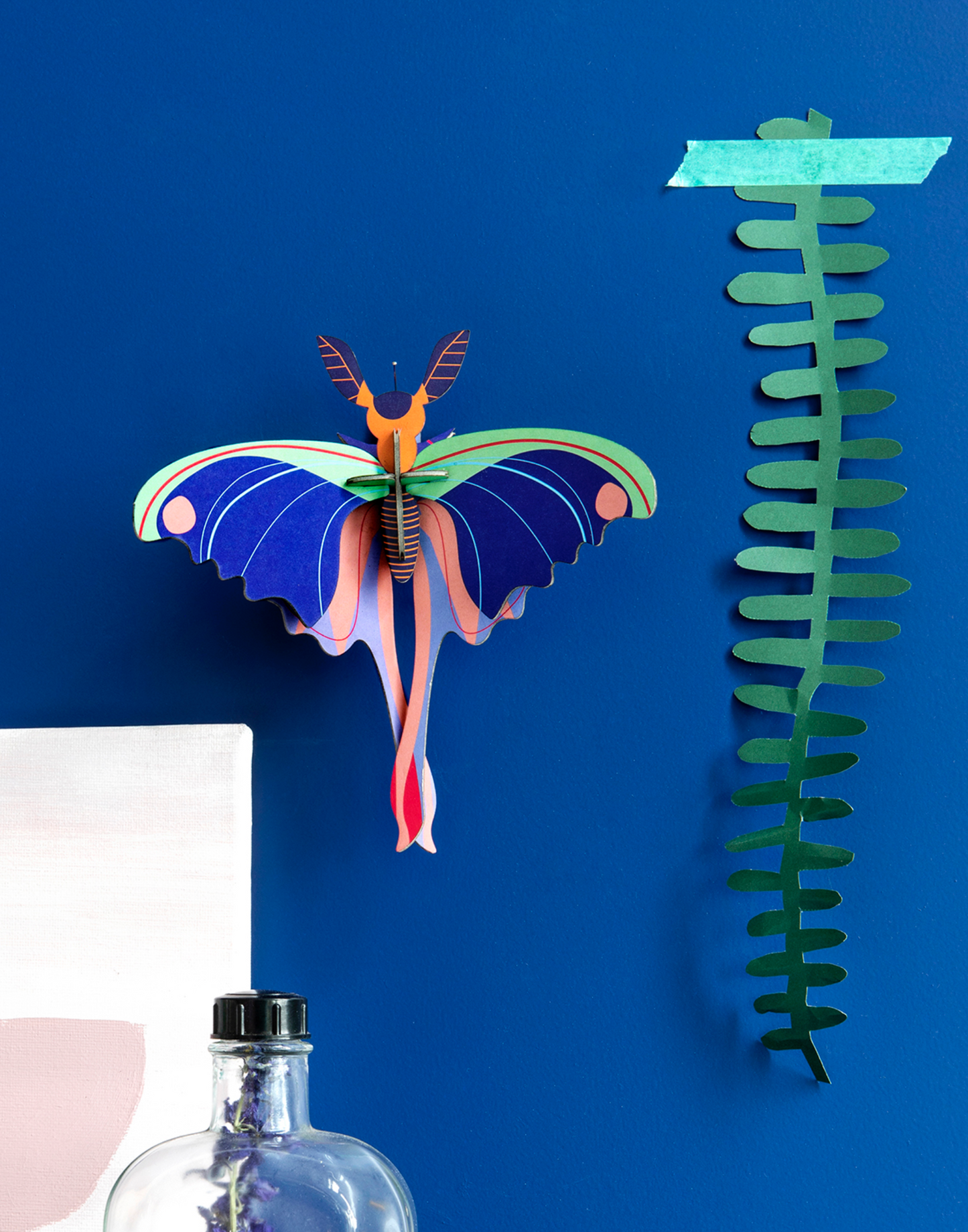 Mariposa Alargada