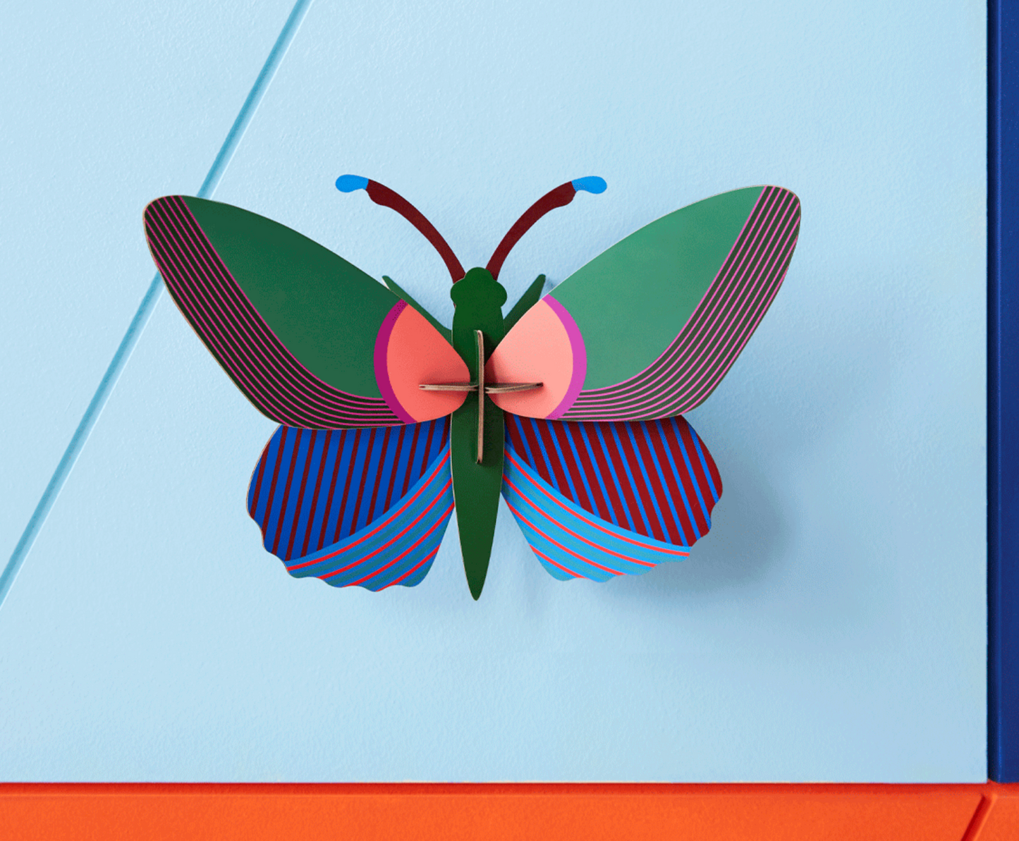Mariposa Rayada