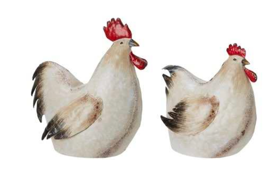 Gallina empollando