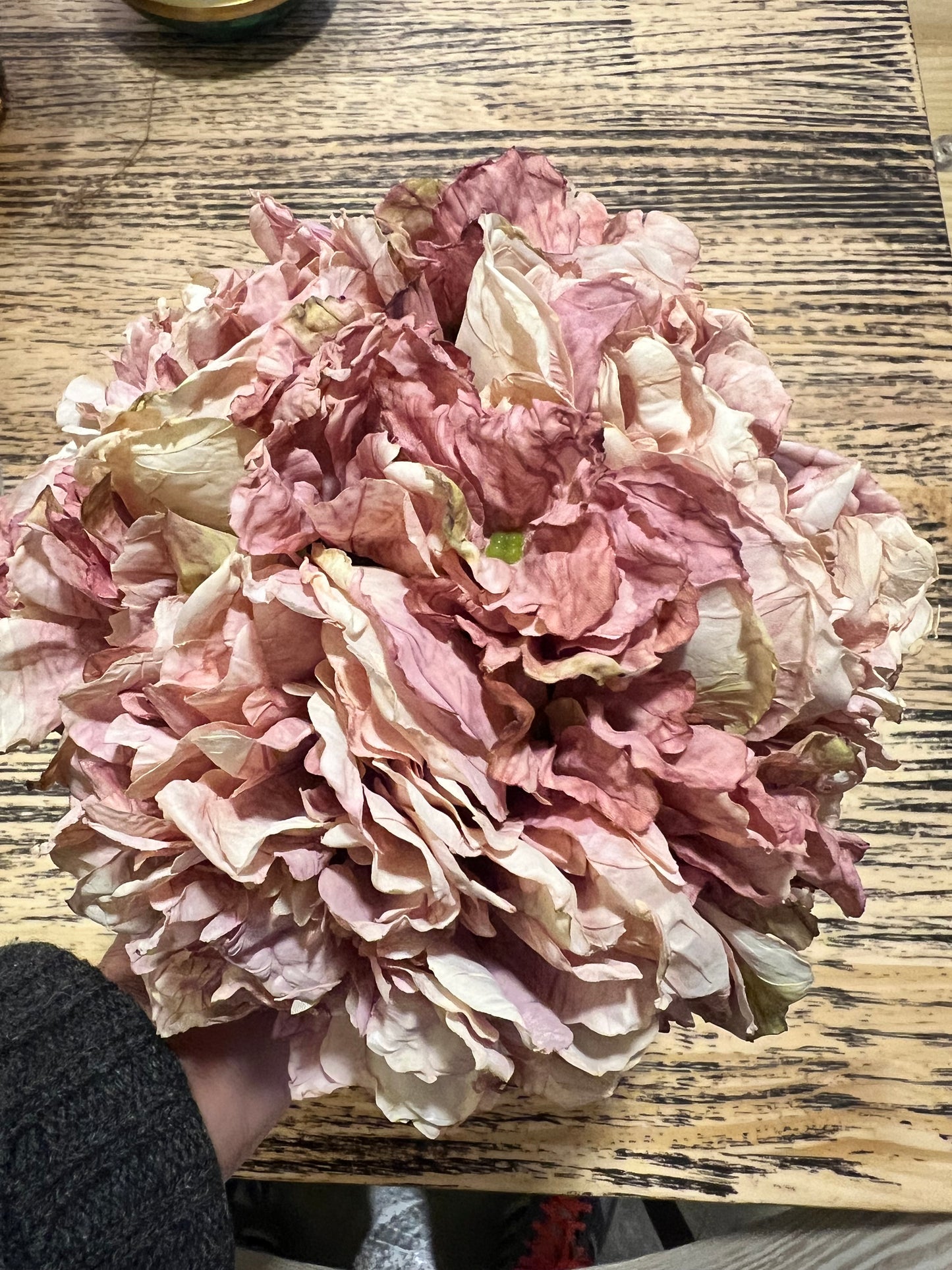 Flor Rosa Antic