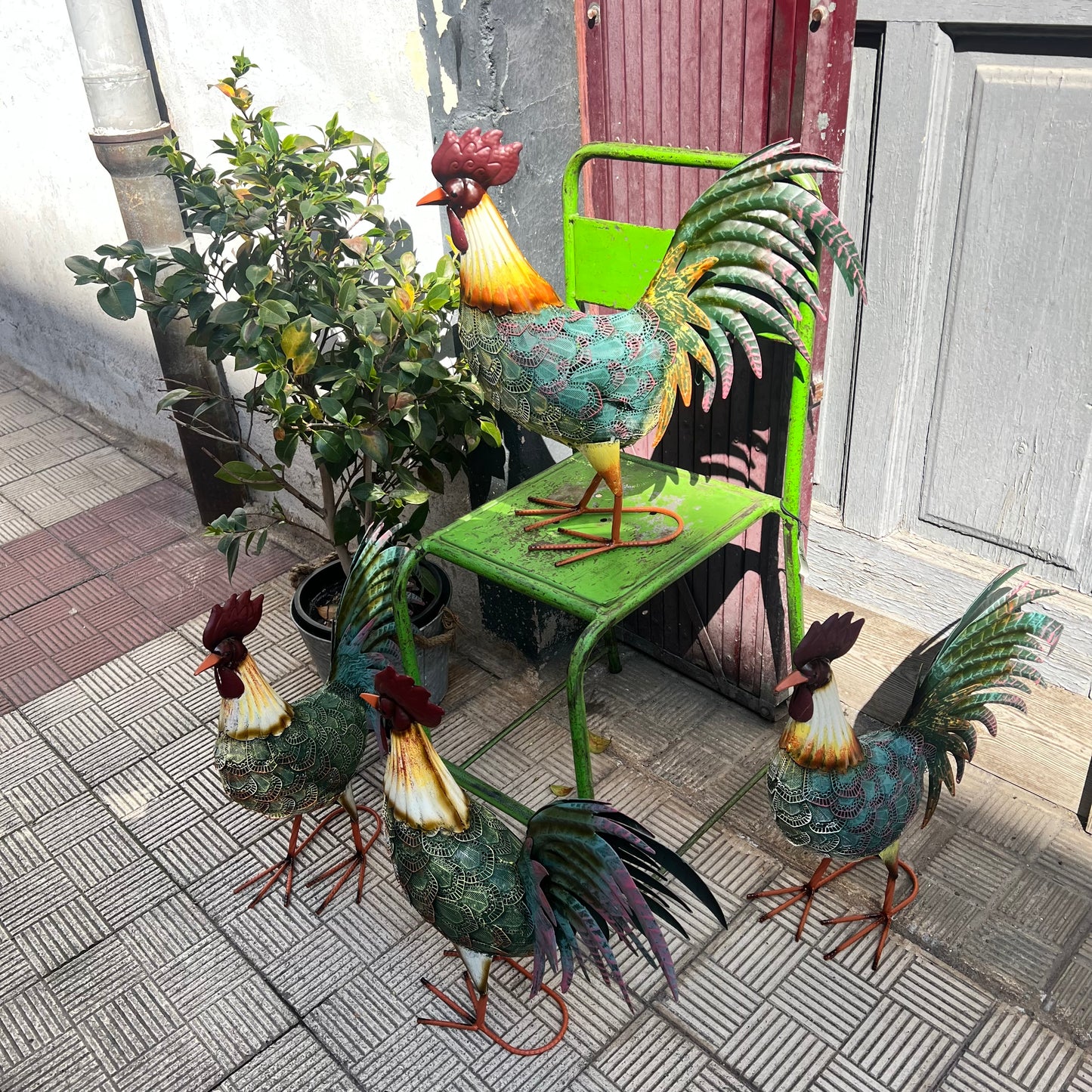 Gallo metal multicolor