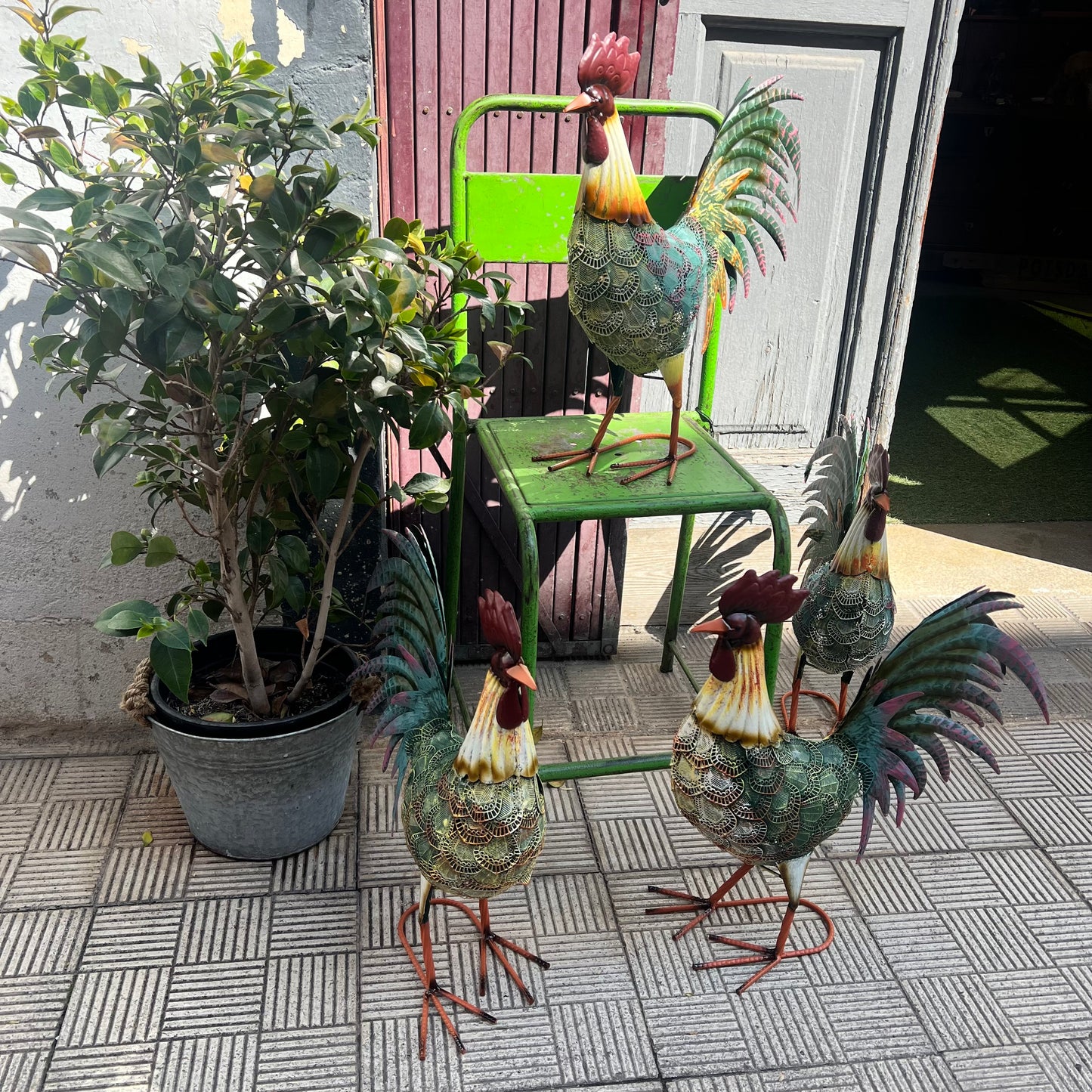 Gallo metal multicolor