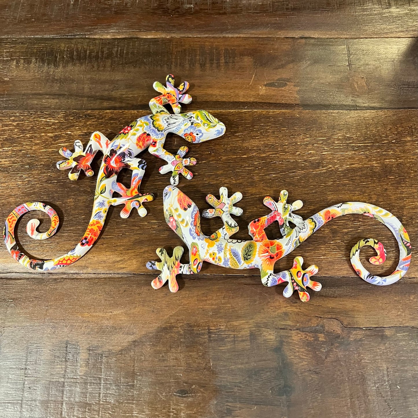 Salamandra multicolor grande