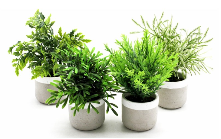 Plantas verdes en maceta cemento y blanco