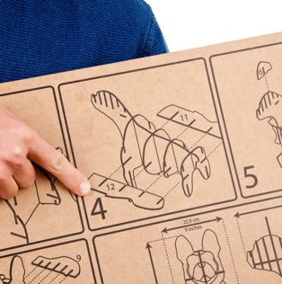 Perro Bulldog carton