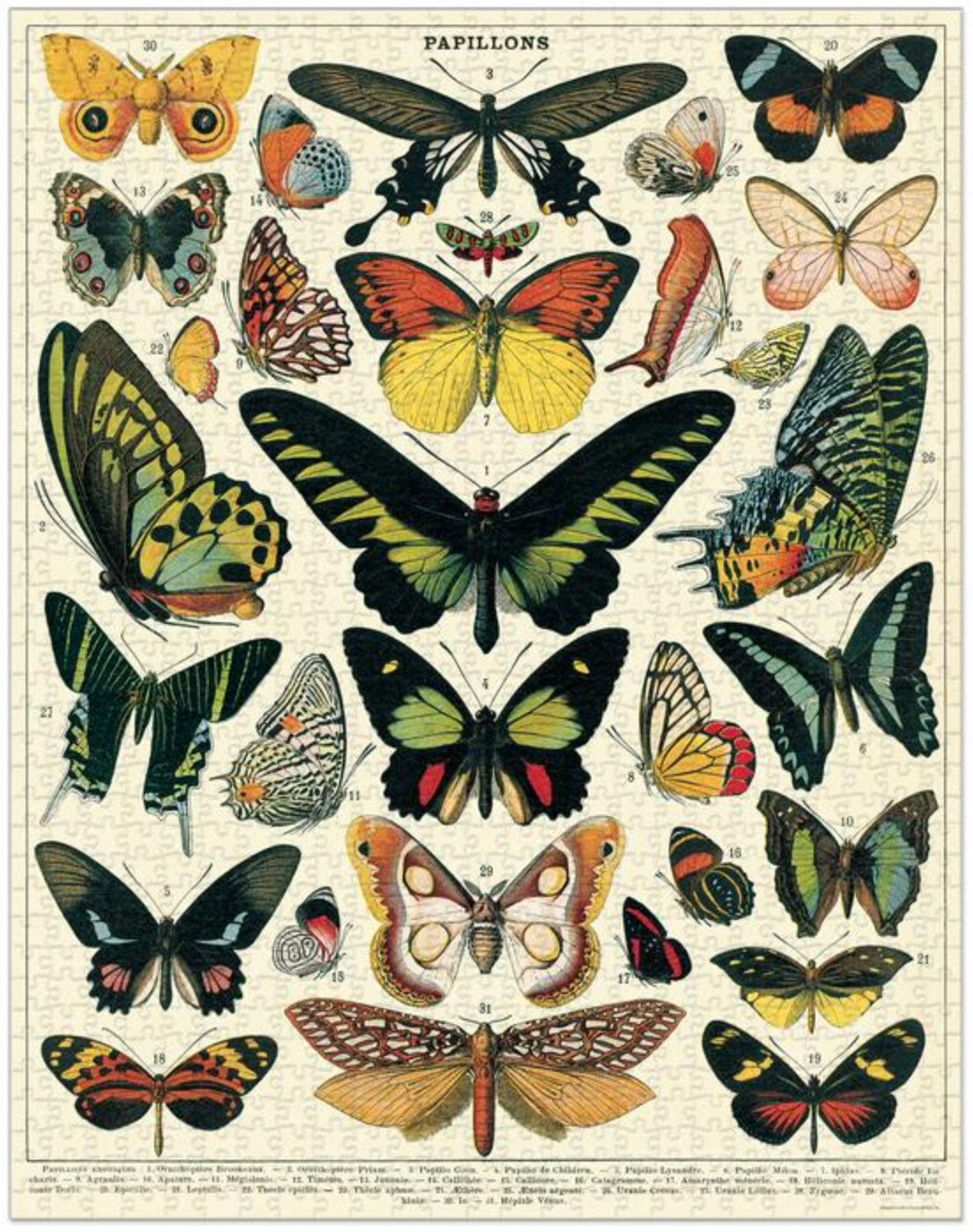 Puzzle Mariposas