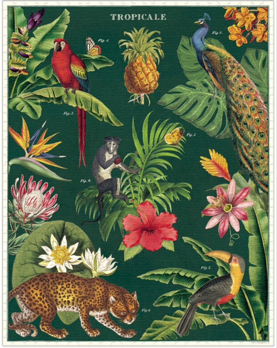 Puzzle Tropical