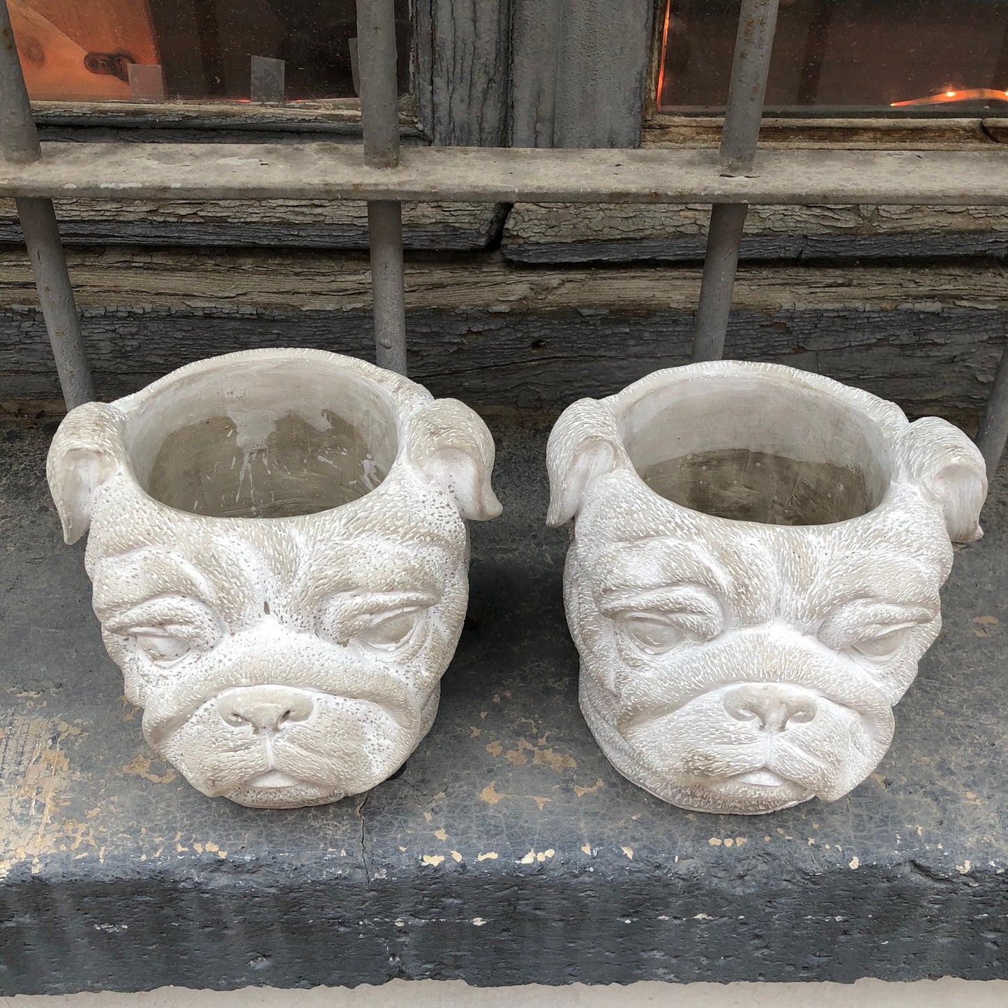 Maceta perro bulldog