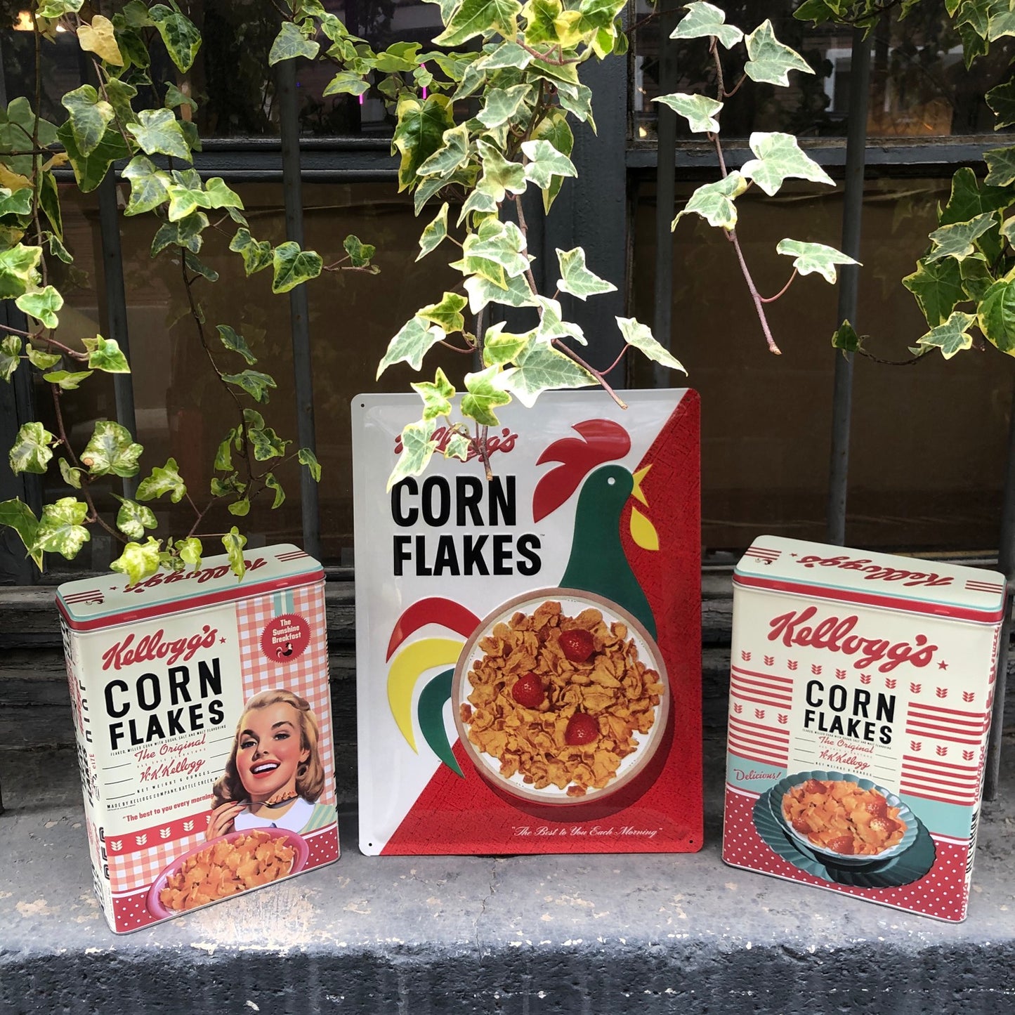 Placa metálica Kellogs 30x40 cm