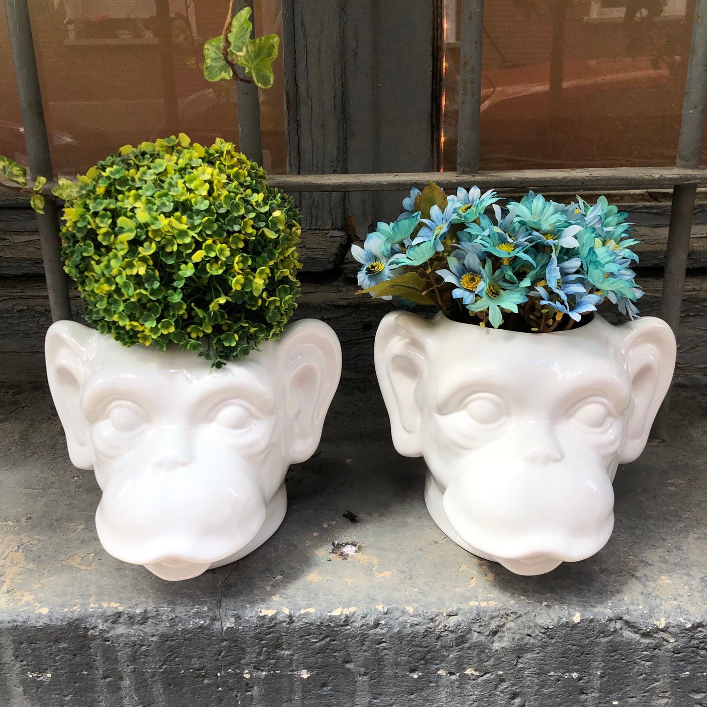 Jarron de cerámica con el busto de un chimpancé