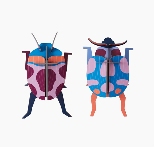 Escarabajos Multicolor Rosas y Azules