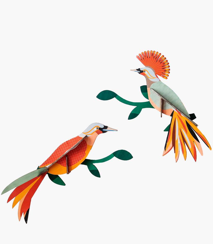 Set 2 Aves Tropicales