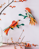 Set 2 Aves Tropicales