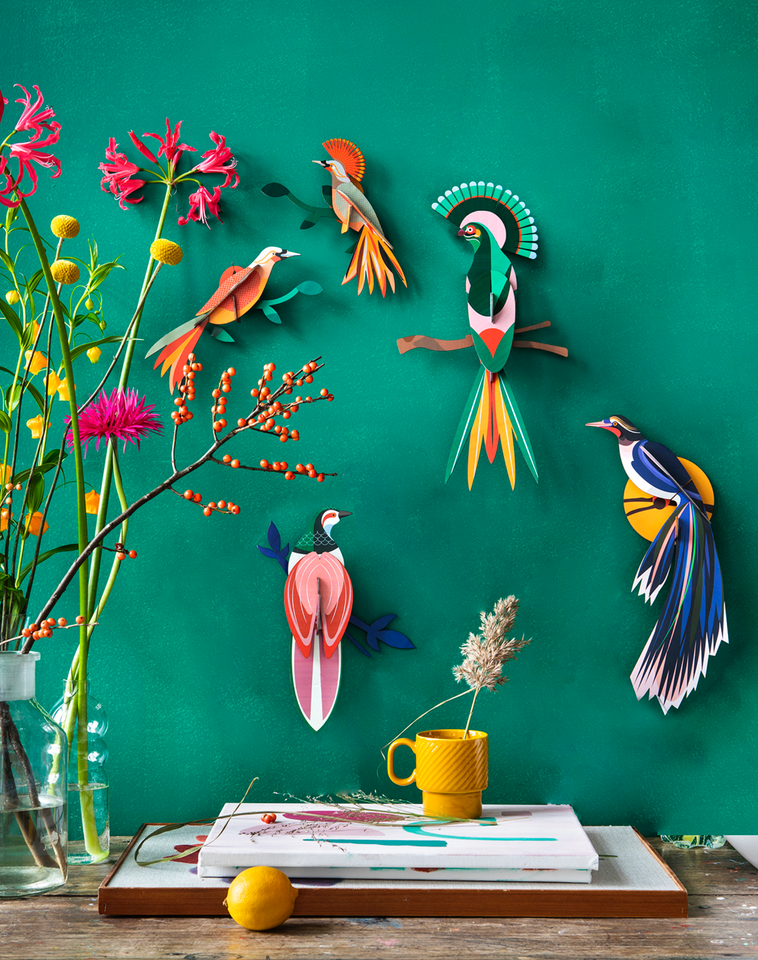 Set 2 Aves Tropicales