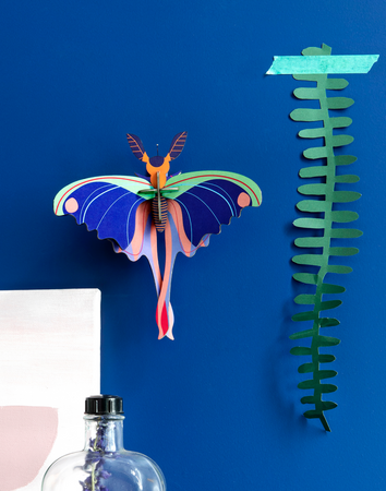 Mariposa Alargada