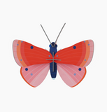 Figura Mariposa Rosa Carton Puzle