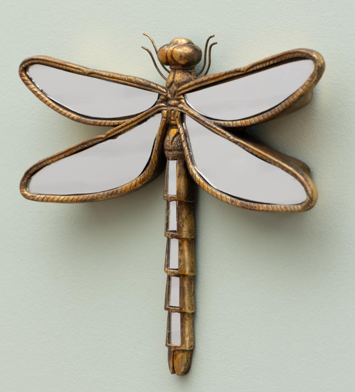 Libelula espejos