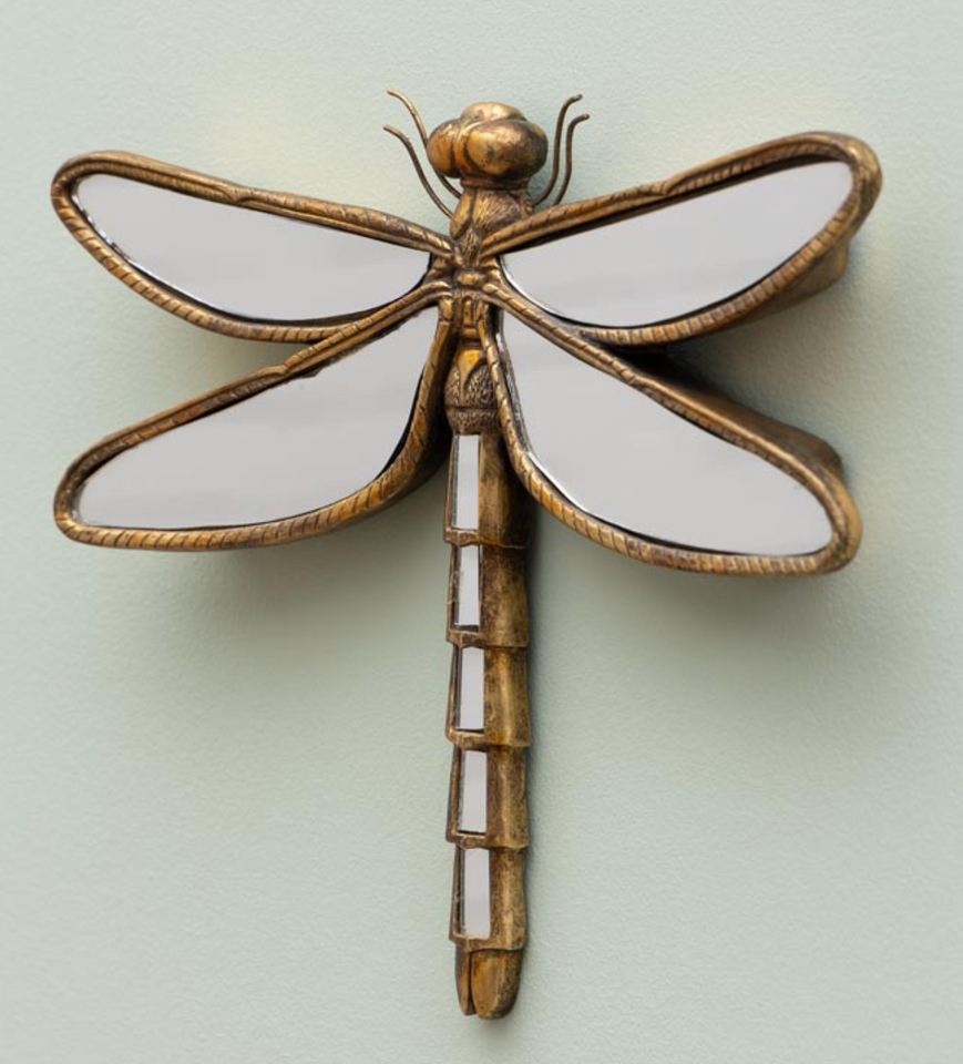 Libelula espejos
