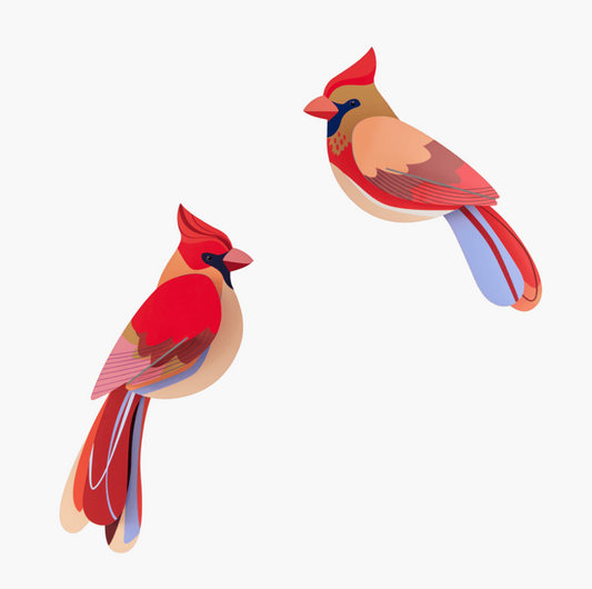 Pajaro Cardelinas