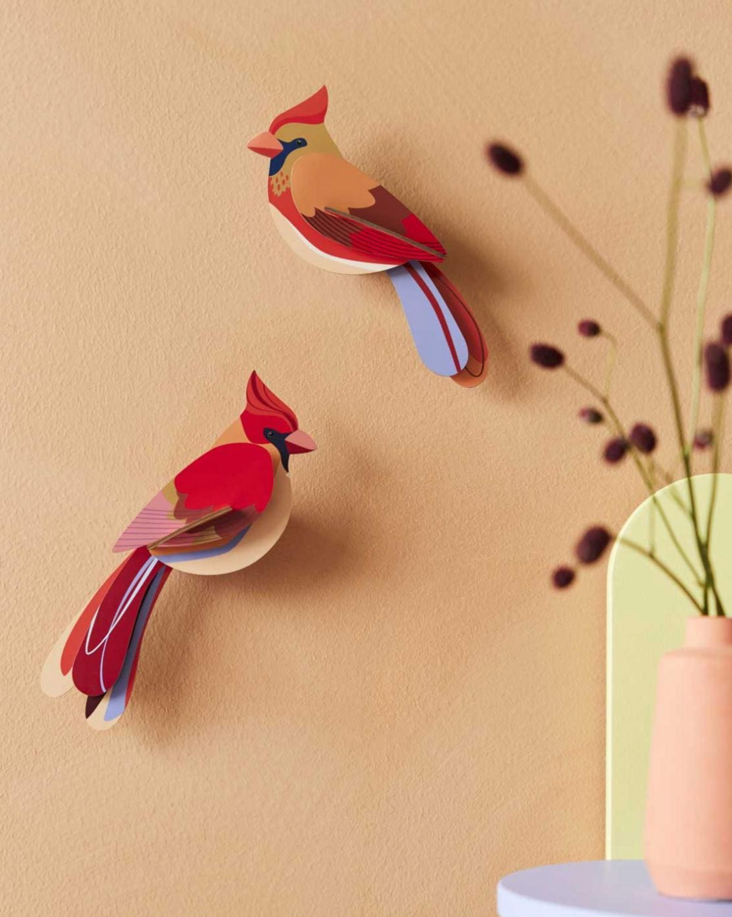Pajaro Cardelinas