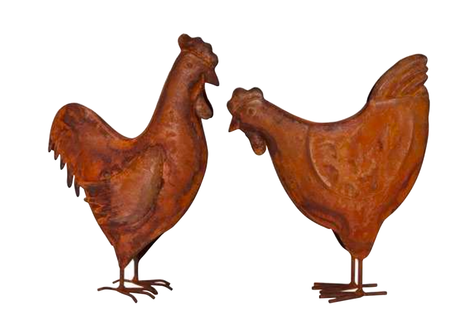 Gallina oxido pequeña