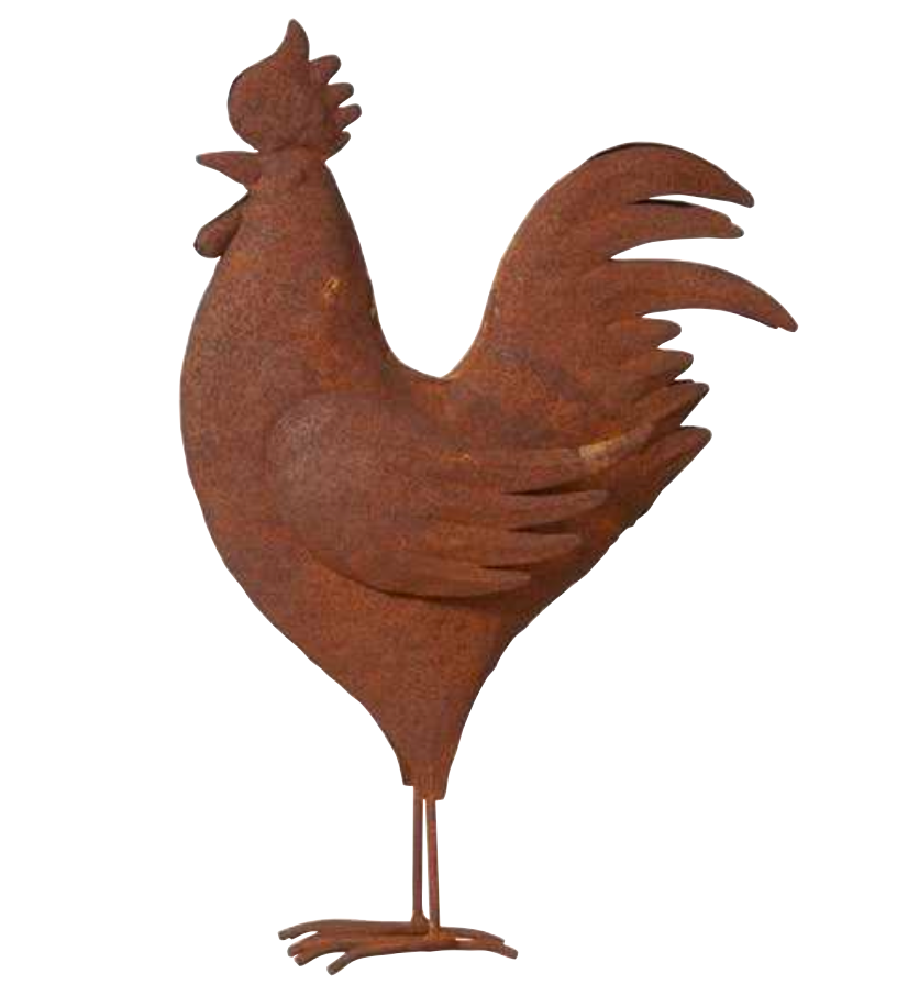 Gallina oxido mediana