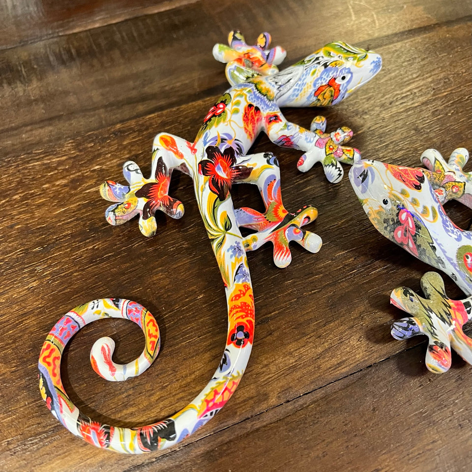 Salamandra multicolor grande