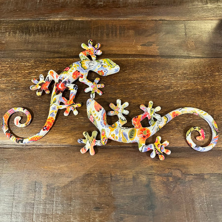 Salamandra multicolor grande