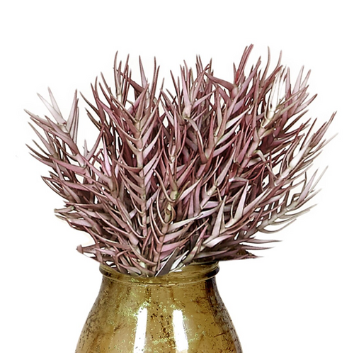 Flor morada