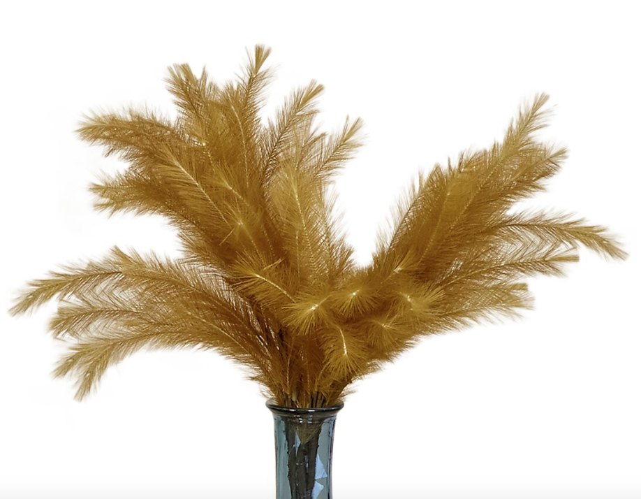 Flor plumero mostaza