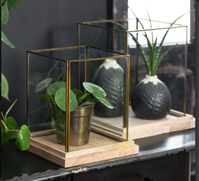 Vitrina base madera cuadrada