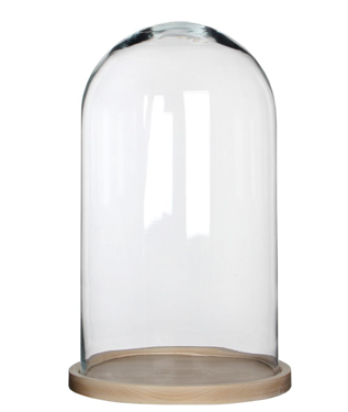 Fanal / Campana de cristal con base de madera Mediano