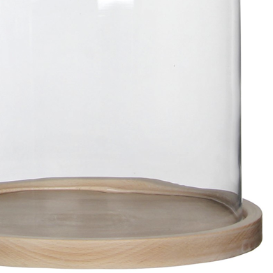 Fanal / Campana de cristal con base de madera Grande