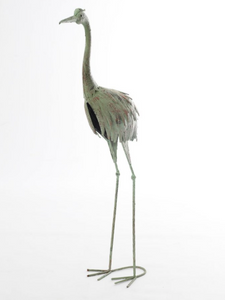 Garza metálica verde