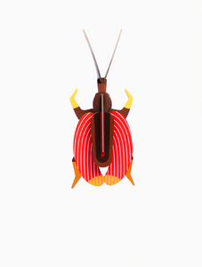Escarabajo Rojo