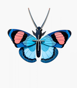 Mariposa Azul