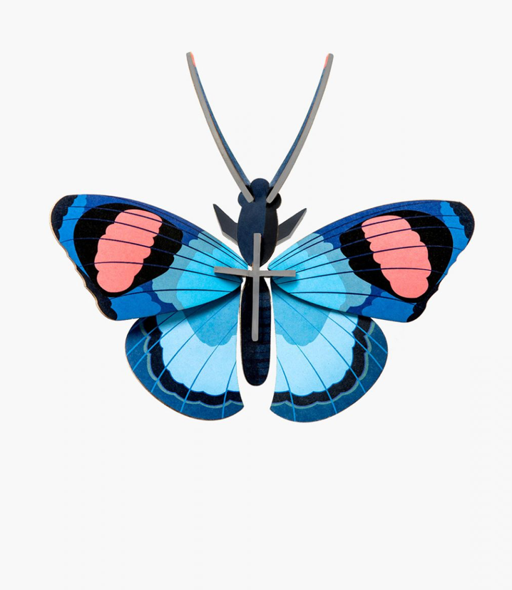 Mariposa Azul