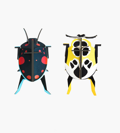 Escarabajos Multicolor Claro y Oscuro