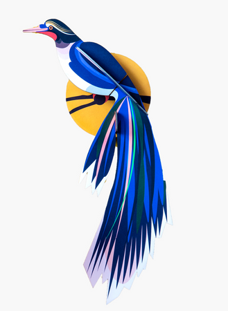 Ave Tropical Azul