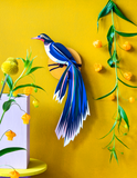 Ave Tropical Azul