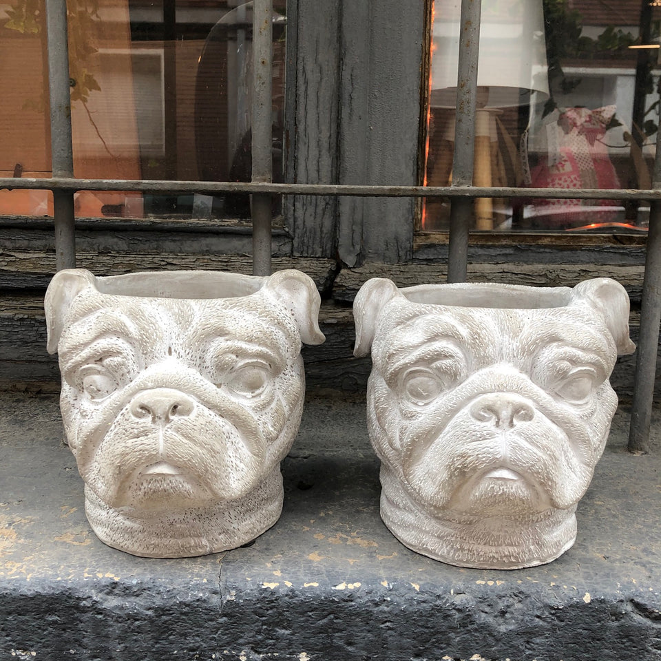 Maceta perro bulldog