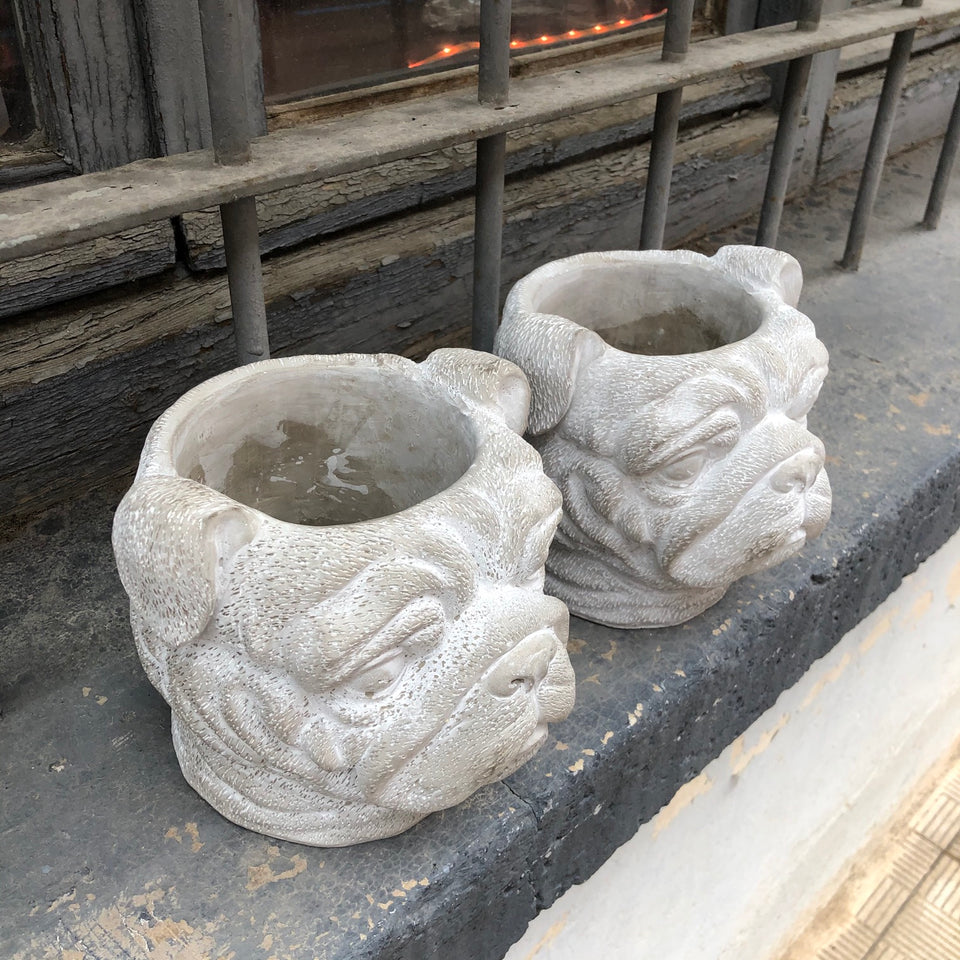 Maceta perro bulldog