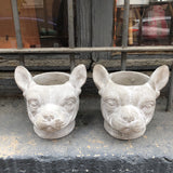 Maceta perro dogo