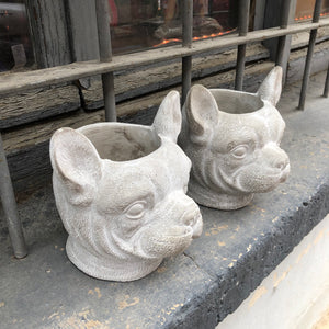 Maceta perro dogo