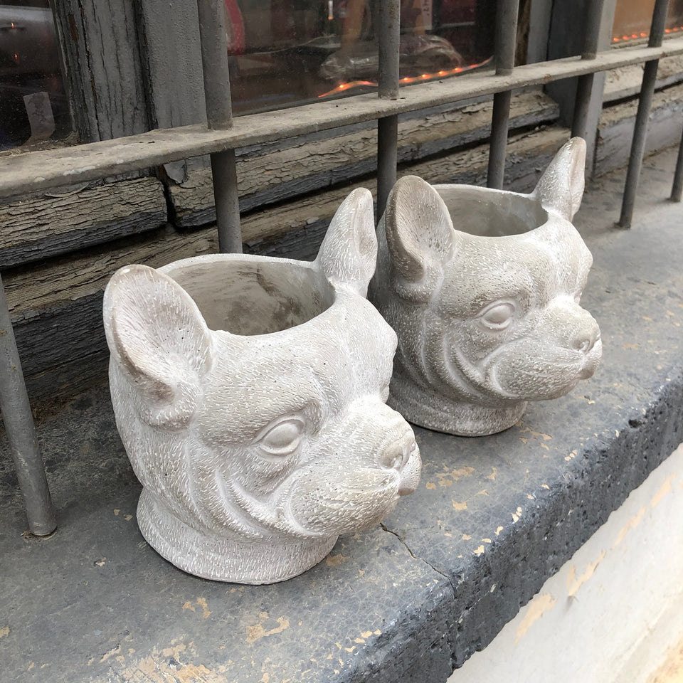Maceta perro dogo