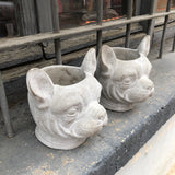 Maceta perro dogo