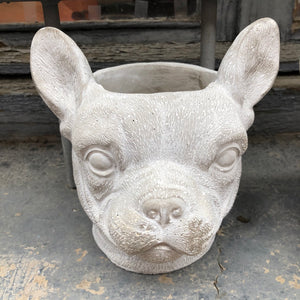 Maceta perro dogo