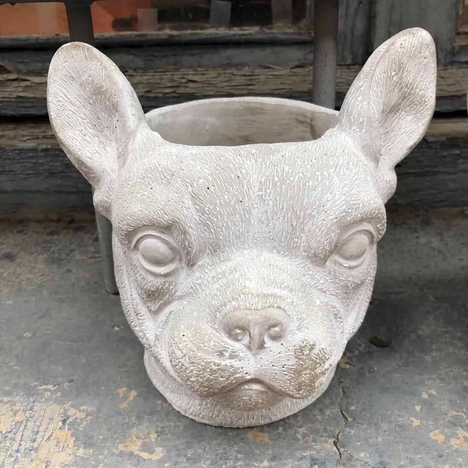 Maceta perro dogo